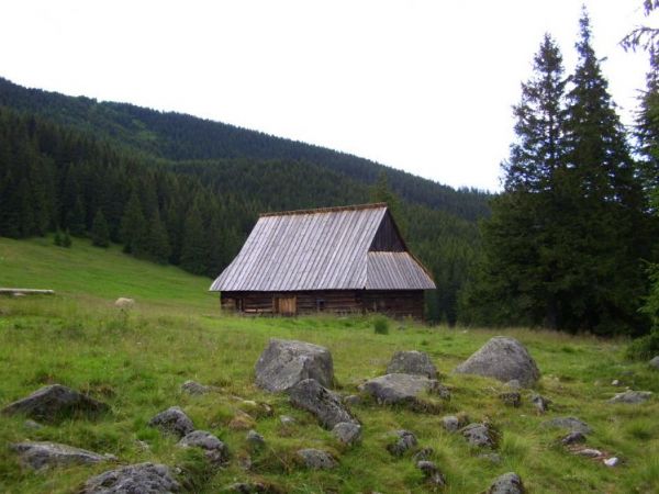Na Rusinowej Polanie