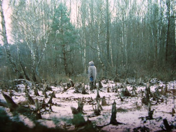 Dziela bobrow nad jeziorem Tuszynek