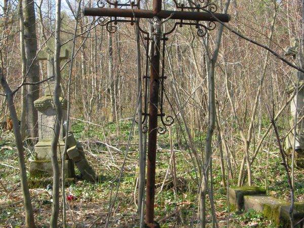 na cmentarzu wyznawców obrządku grecko-katolickiego, do czasu wysiedleń - mieszkańców tej wsi - duży płat barwinka stanowi poszycie leśne, cmentarne. Rośnie w l