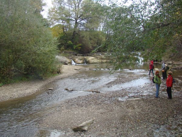 przy/przed/na: Pomnik przyrody: "Wodospad na rzece Olszance", widać -  odgrodzone kamieniami ploso i zatoń, a tam gdzie stoją - to ostroga.