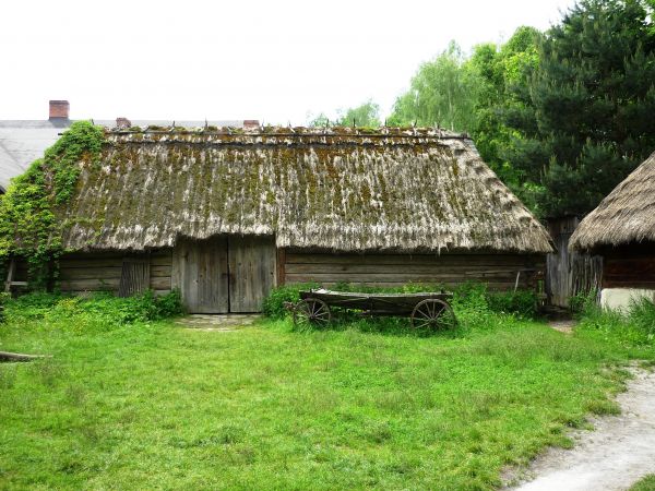 Stara , zabytkowa zagroda chłopska z XIX wieku , we wsi Guciów na Lubelszczyźnie. Obecnie muzeum wsi.