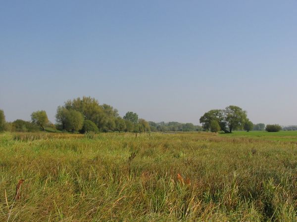 Tyrzyn - widok na staw