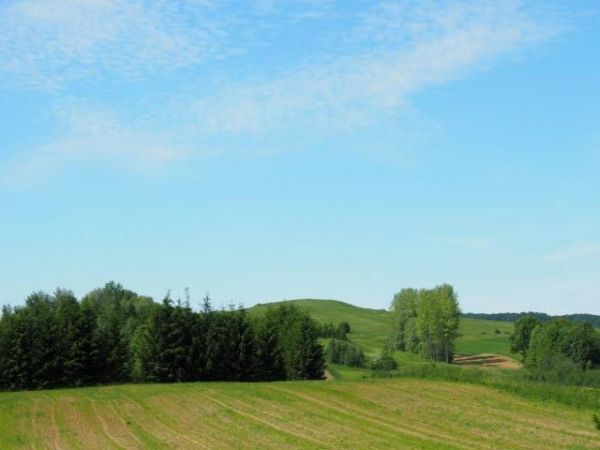 wzgórze Wysokie - 385m npm, tu z drogi od m. Pielnia, zapraszam tam do galerii.