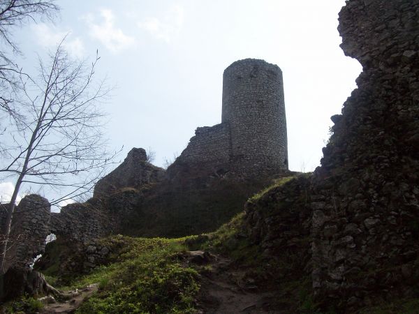 W miejscowości na terenie rezerwatu przyrody Smoleń znajdują się ruiny gotyckiego zamku Pileckich z XIV w. Zamek został zniszczony w XVII w. przez Szwedów. Wspó