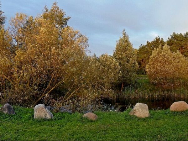 Stawek przy kościele na Łapiszewie