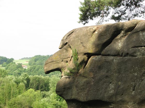 7.06.2011 godzina 8:30 czarownica