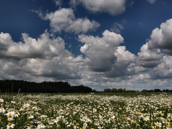 zdjecie Tyniewicze Duże