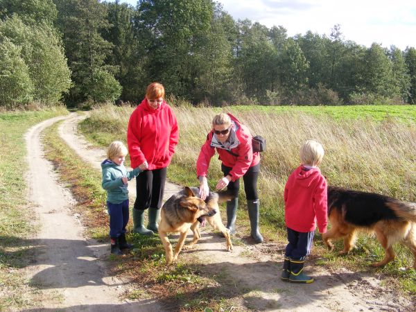 Rodzinna sielanka:)swietne miejsce na rodzinny odpoczynek,zdala od miasta :)