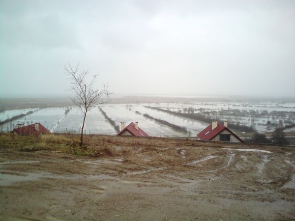 Roztopy na Martwych Bagnach.