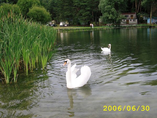 Ośrodek wczasowy w Rynku