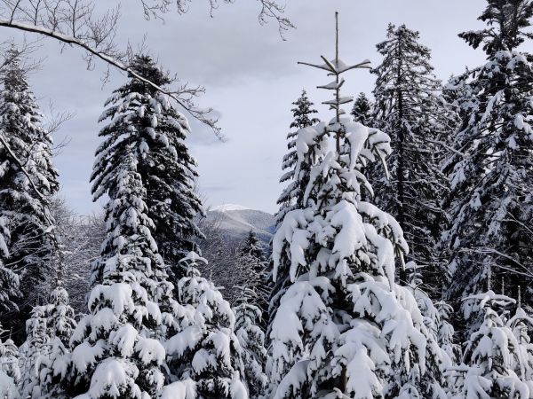 Sylwester i Nowy Rok w Cisnej