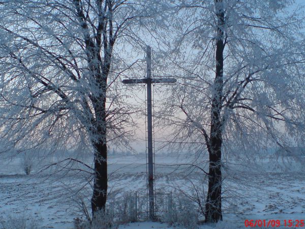 zdjecie Wólka Komarowska