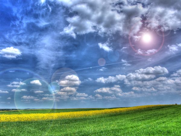 zdjecie Wodzisław Śląski