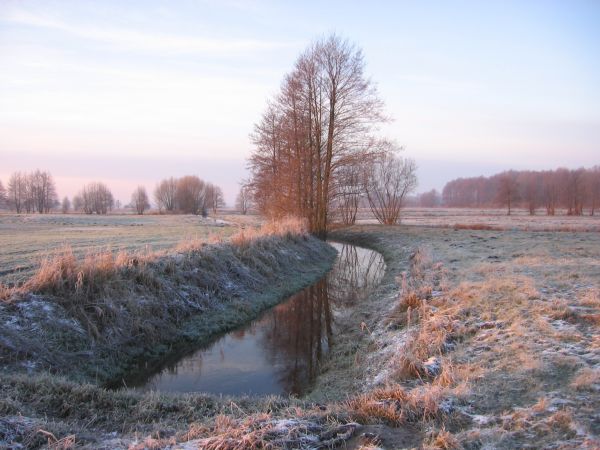 Listopadowy kanał na łąkach w Szynwałdzie.