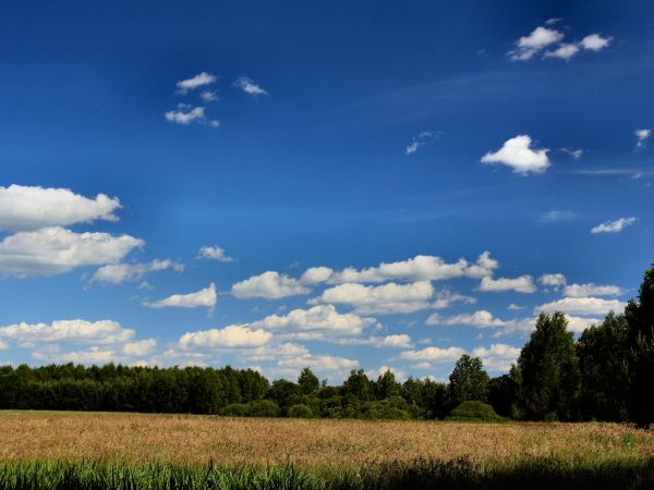 zdjecie Tyniewicze Duże