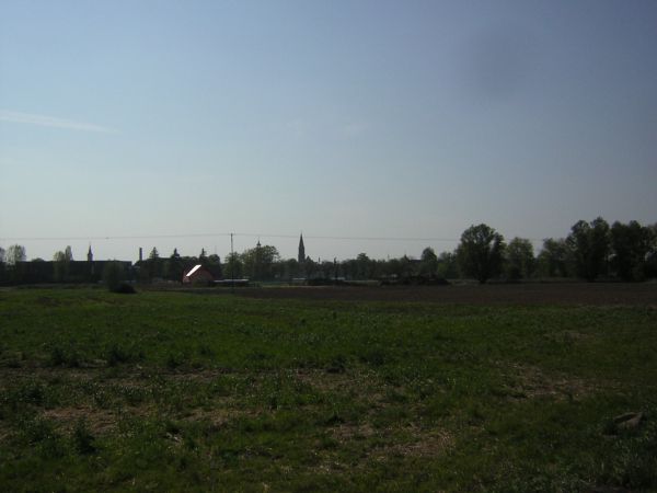zdjecie Sulechów