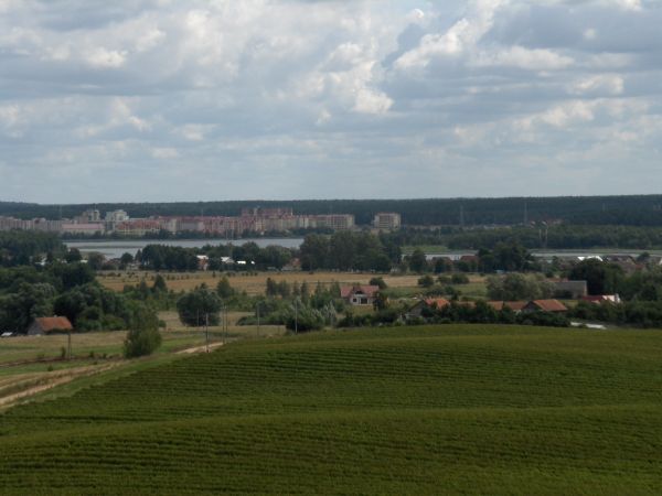 BARANKI Z GÓRY BUNELKI