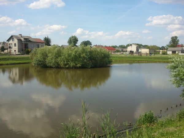 Zdjęcie od ul. Żabiej