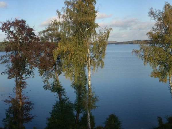 Jez Zerdno z Zamkowego dachu