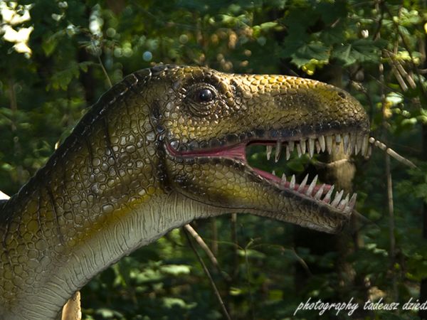 Park Ruchomych Dinozaurów
