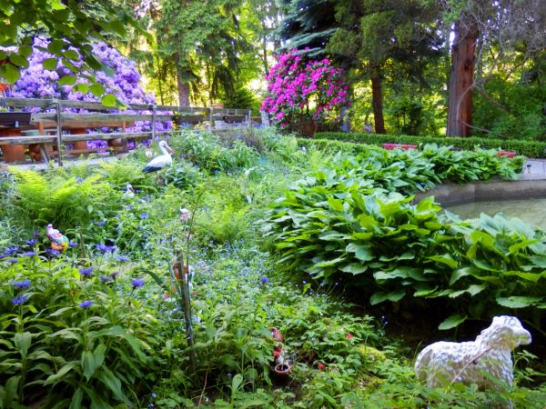 Nasz ogród w Świeradowie Zdrój