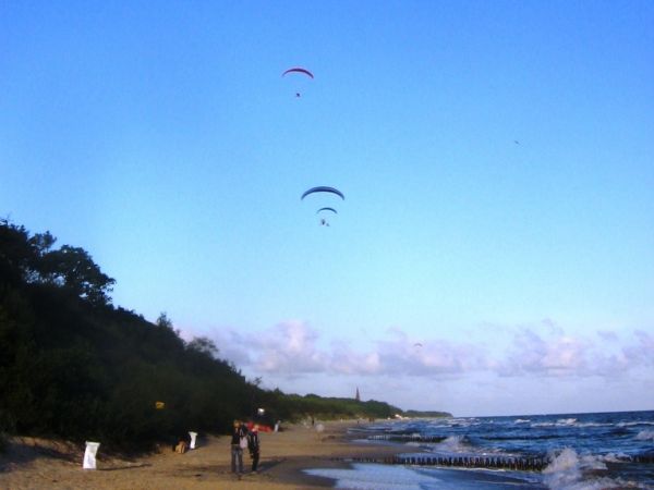 Takie ptaszki też tutaj można spotkać.