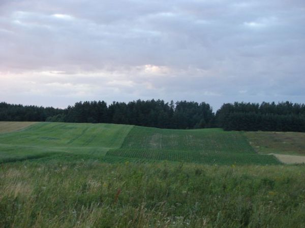 Zdjęcia Dębogórze