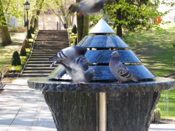 zdjecie Międzyzdroje