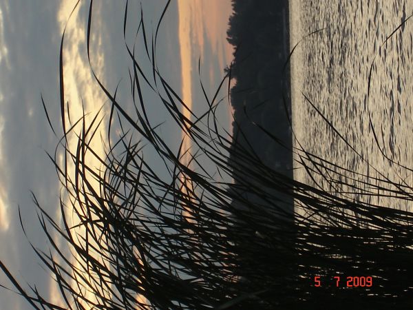 Fot. Ewa Kamila Jabłońska