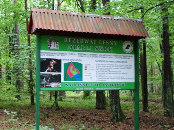 Rezerwat Diabelski Skok - lipiec 2011