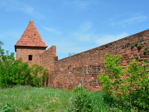 Fragment murów obronnych