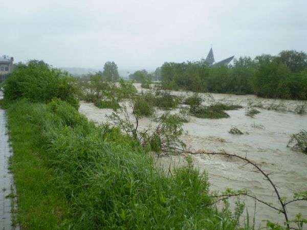 N.Sącz rz. Kamienica 17.05.2010