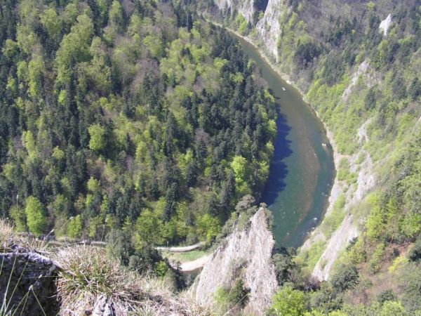 Widok z Sokolicy