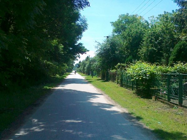 Zamoście - dzielnica Brzostkowa , droga południowa to szlak do Wisły . Cechą arterii Brzostkowa są kąty przecięcia  proste i odcinki całkowicie poziome  , kuszą