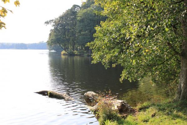 J. Trzesiecko / Szczecinek