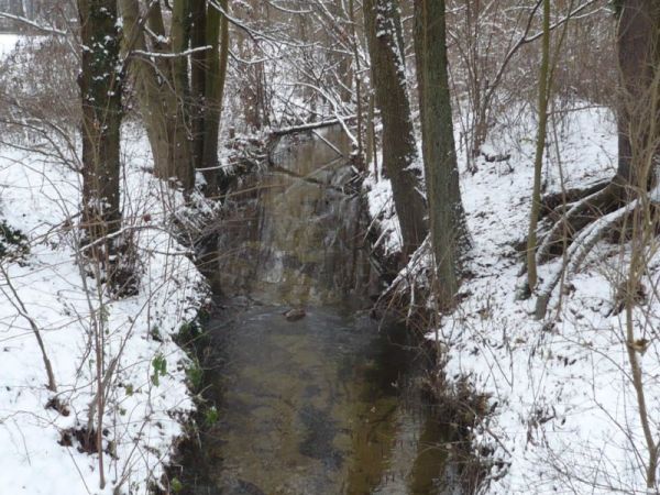 Za ośrodkiem mała rzeczka Gościmka.