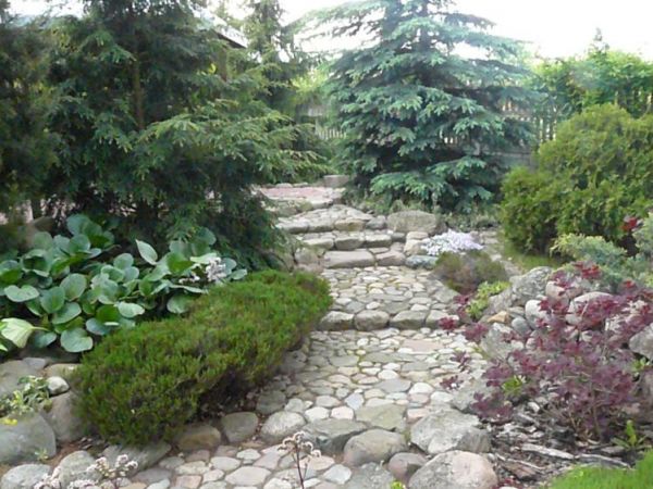 zdjecie Miszewko Strzałkowskie