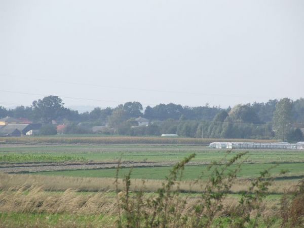 zdjecie Małochwiej Mały