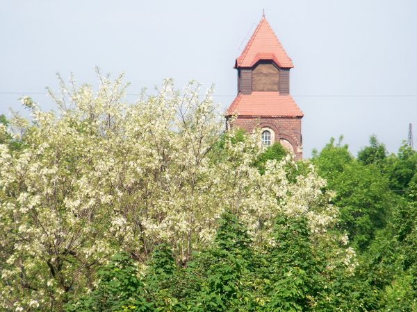 zdjecie Czeladź