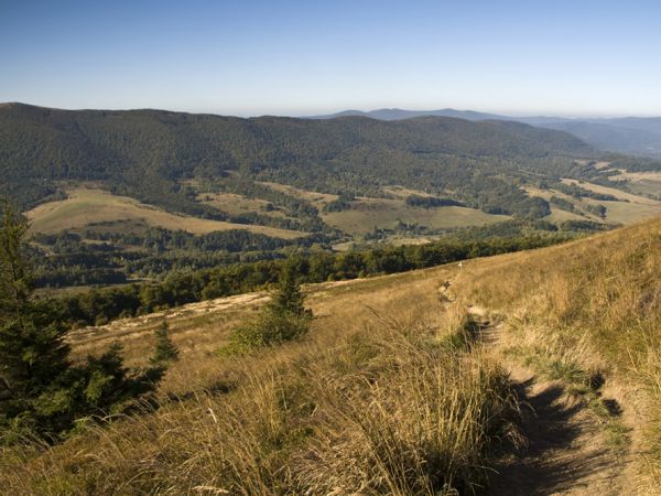 Na Połoninie Caryńskiej