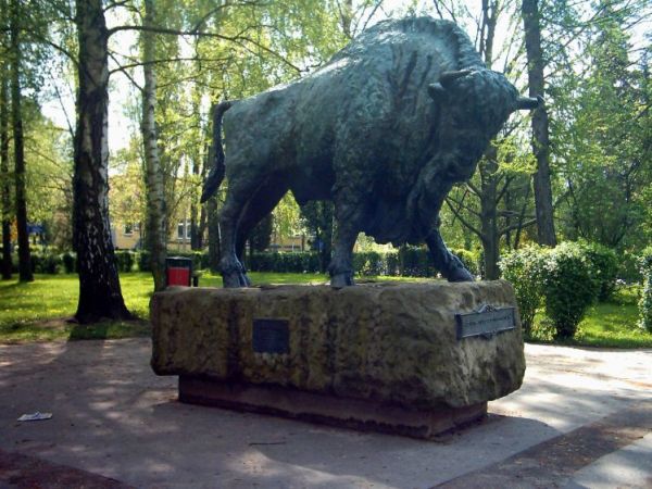 Pomnik żubra.