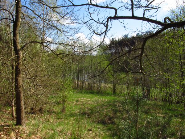 Grunty nad Wdą w Czarnej Wodzie