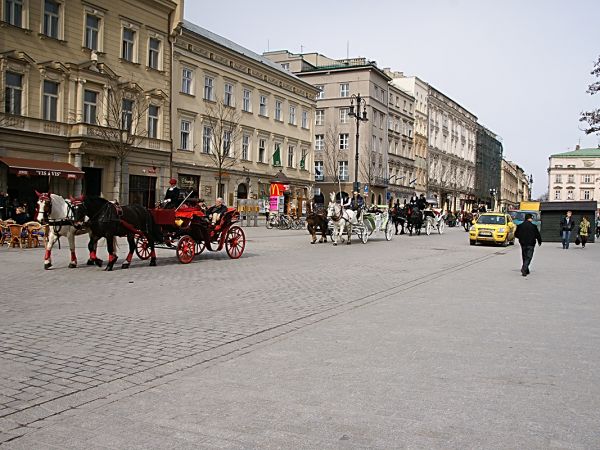 Na krakowskim rynku