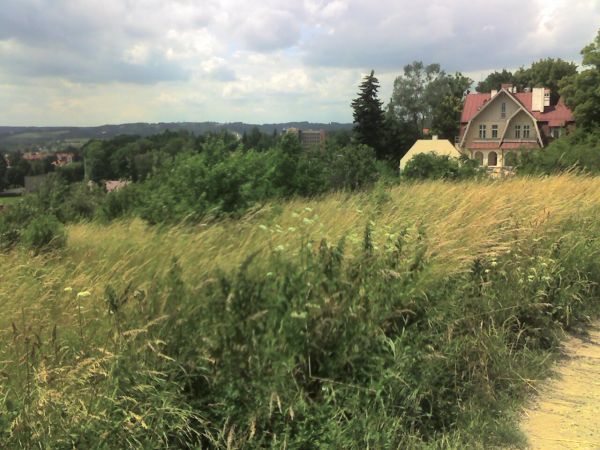 zdjecie Kudowa-Zdrój