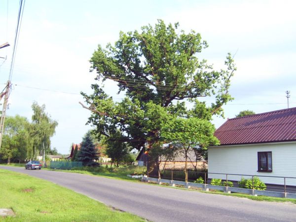 zdjecie Wola Wadowska