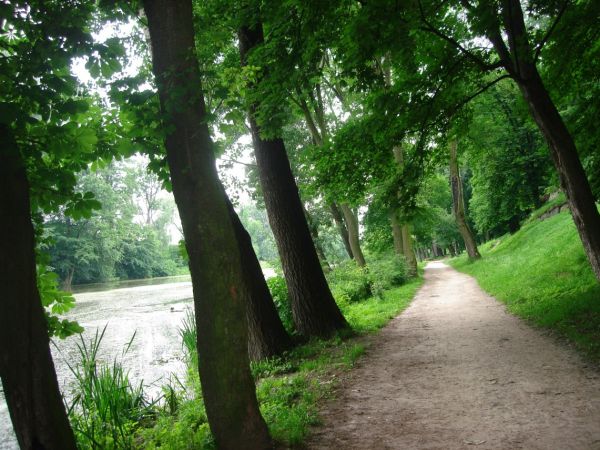 Aleja w Ogrodzie Dolnym