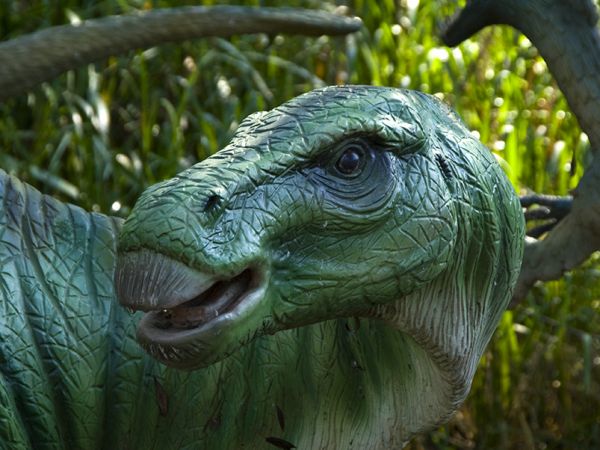 Zator-Park Ruchomych Dinozaurów "DinozatorLand"