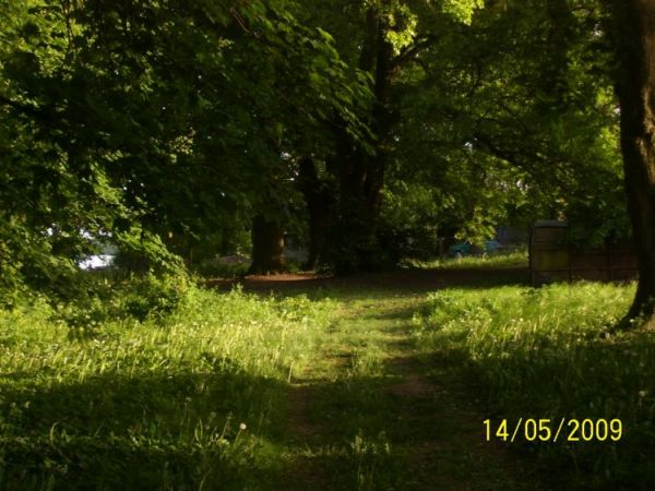 zdjecie Dobieszewice