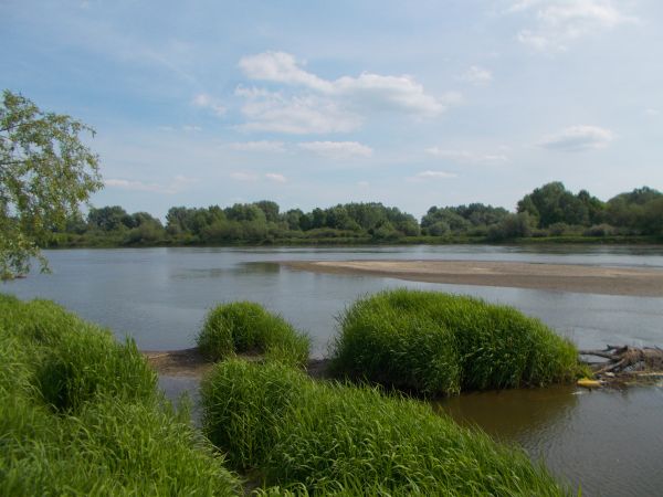 Wisła w majowym obrazie .