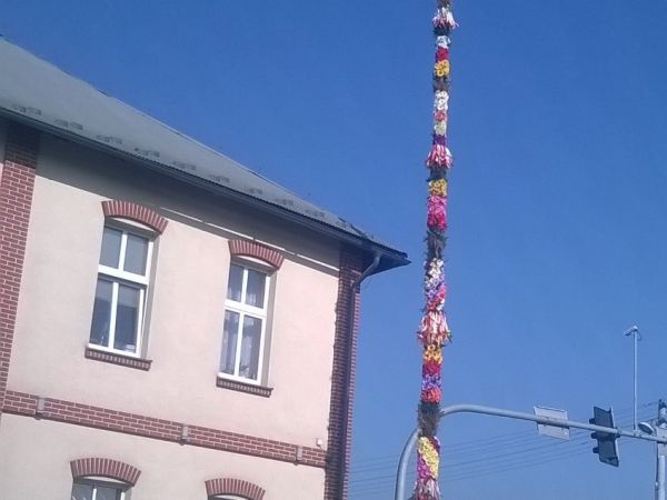 Palma na skrzyżowaniu.